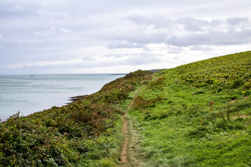 The rocky West Cork coastline with the sunseting and boulders covered in Irish sea moss. The seven heads cliffs are popular with hikers and hill walkers.