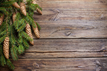 fir branches with cones on brown wooden background