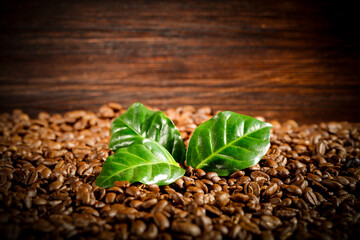 Coffee beans on a brown board with a green leaf
