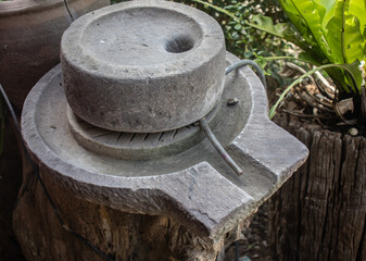 Fototapeta premium tree with axe and firewood