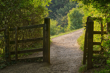 Path and gate in countryside, Surrey, England