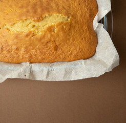 homemade sponge cake, on brown background