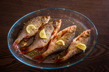 European perch fish, Perca fluviatilis. Prepared for cooking with spicies and lemon. - obrazy, fototapety, plakaty