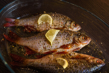 European perch fish, Perca fluviatilis. Prepared for cooking with spicies and lemon.