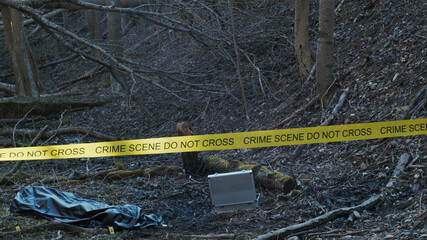 Detectives are collecting evidence in a crime scene. Forensic specialists are making expertise....