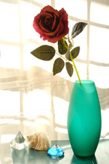 Rosa in un vaso