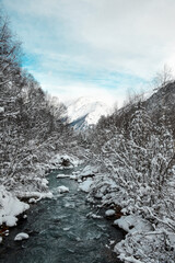 river in the winter forest runs to the foot of the mountains