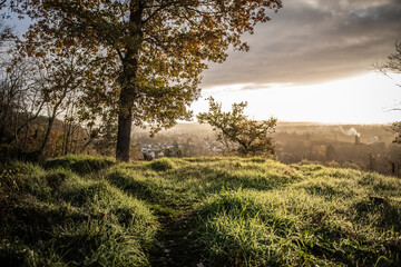 Naklejka premium Point de vue secret à coté d'un chêne sur Auvers sur Oise en Automne