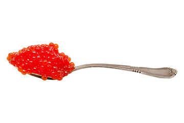 silver spoon with red caviar on a white background