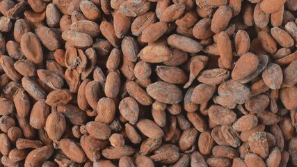 cocoa beans or cacao beans background rotation.