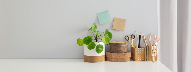 Table at home office with supplies, plant and grey wall copy space. Business, banner workspace.