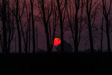 atardecer rojo