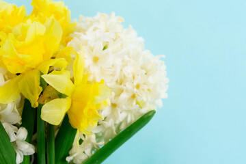 hyacinth and daffodils