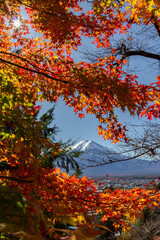 View of mountain Fuji in autumn (Japon)