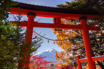 Fototapeta na wymiar View of mountain Fuji in autumn (Japon)