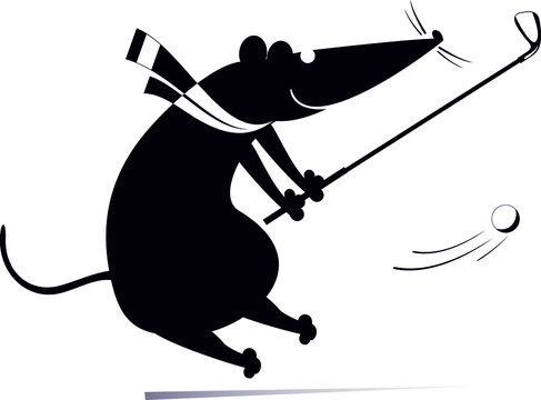 Cartoon rat or mouse plays golf illustration. Funny rat or mouse tries to do a good kick black on white 