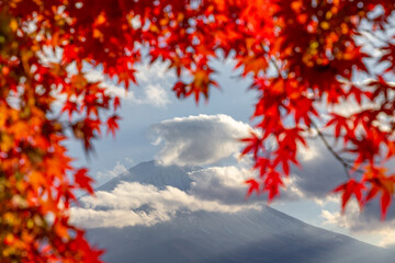 View of mountain Fuji in autumn (Japon)