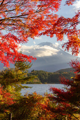 View of mountain Fuji in autumn (Japon)