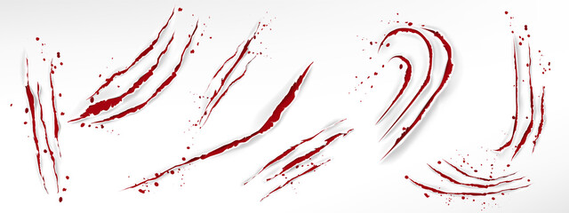 Cat claw scratches with blood drops, red torn slashes from wild animal, tiger, bear or lion paws isolated on white background. Vector realistic sharp talons marks, wounds with bloody splatter