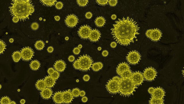 Ilustraci&oacute;n 3d  y simulaci&oacute;n de coronavirus vistos al microscopio