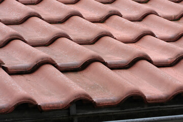 Dacheindeckung mit gebrannten Dachziegeln. Thüringen, Deutschland, Europa  --  
Roof covering with burnt roof tiles. Thuringia, Germany, Europe