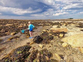 walk fishing at low tide in Brittany. France