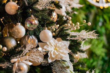 Close up Christmas green pine tree with background