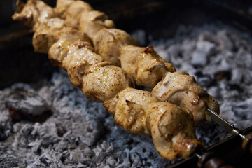 Kebabs, fried meat in the roasting pan