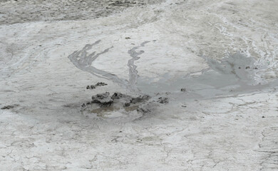 Mud liquid flowing from mud volcano, at Paclele Mari mud volcanoes in Buzau, Romania. Small volcano-shaped structures caused by the eruption of mud and natural gases.