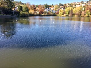Obraz premium Etang en ville par beau temps