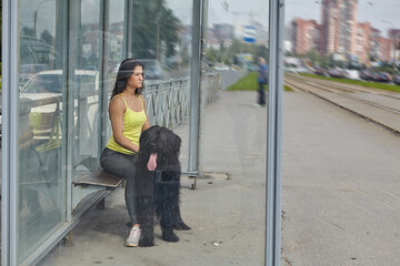 Woman waits for tram with big black dog on public transport station.