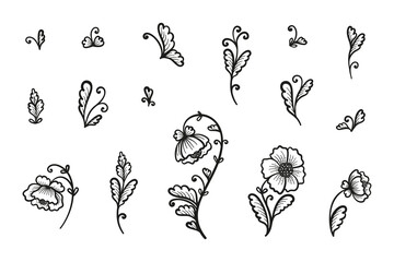 Floral Elements Vector Set. Vintage Poppy Flower. Outline Flowers and Leaves. Black and White illustration