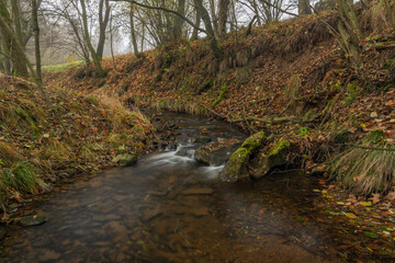 Fototapeta na wymiar Olsovy creek near Petrovice village in Krusne mountains in autumn morning
