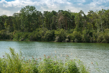 Fluss-Landschaft im Sommer mit vielen grünen Pflanzen am Ufer