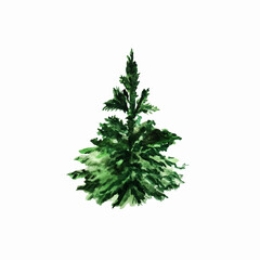 Fototapeta na wymiar Green, watercolor, Christmas tree.It can be used in textiles, packaging paper, postcards, candy packages.tea,posters,content.