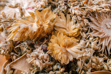 Bouquets of beautiful dried flowers plants