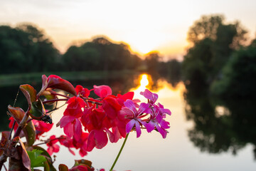 coucher de soleil sur la nature