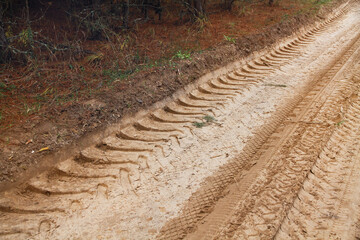 Track and tread marks of a country sandy forest road in summer.