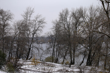 Fototapeta na wymiar trees on the snowy river bank