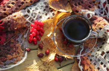 Autumn still life with a viburnum branch, a cup of coffee and a warm knitted scarf