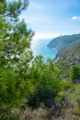 Obraz premium La costa