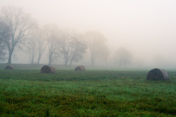 Zalane łąki pod Łęczycą. bele siana w wodzie, rozlewisko Bzury © Piotr Szpakowski