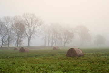 Zalane łąki pod Łęczycą. bele siana w wodzie, rozlewisko Bzury © Piotr Szpakowski