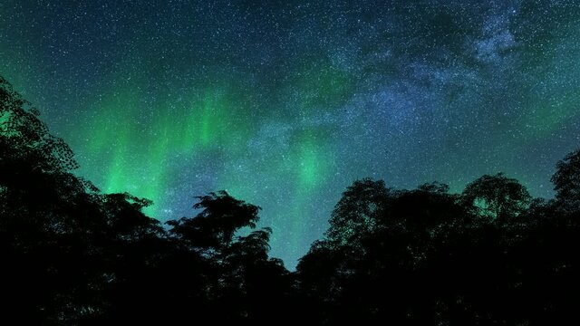 Awesome northern lights aurora trees winter landscape 4k