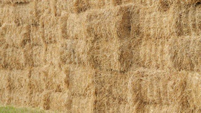 Hay parallelepipeds well stacked on each other.