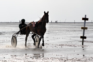 silhouette of a Jockey with horse carriage riding through the mudflat at duhnen, cuxhaven in Germany during the traditional duhner wattrennen