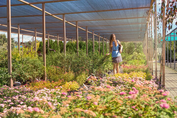 Beautiful long-haired woman in a blue dress smiling and walking in to the arrangement of the garden nursery choosing flowers.