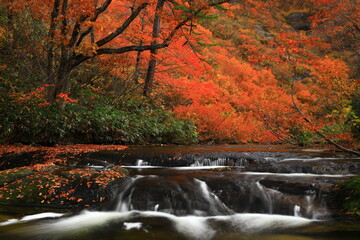 紅葉の桃洞渓谷