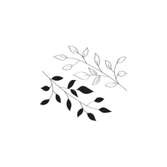 Sprig with leaves vector image doodle style. Isolated on a white background. Decorative elements for design. Sketch of a tattoo two branches