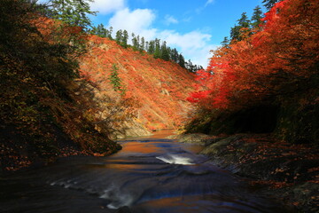 紅葉の桃洞渓谷
